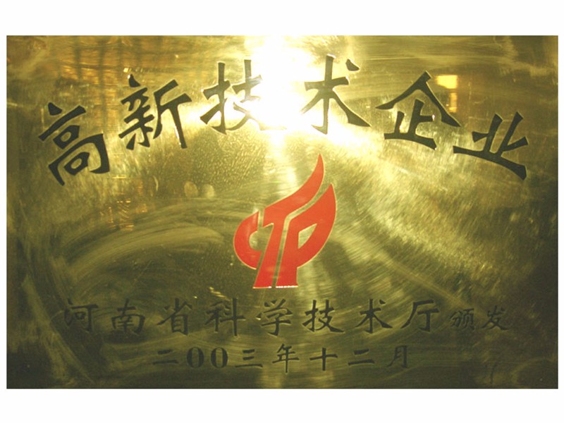 **技術企業(yè)